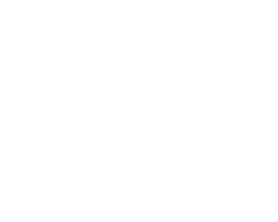 Shiny hair